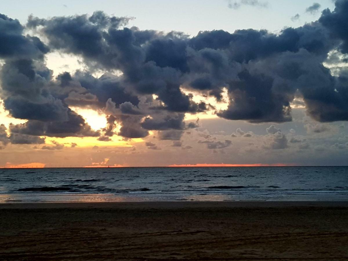 Excellent Beach Apartments Zandvoort Buitenkant foto